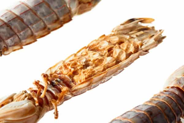 Mantis Shrimp Dog Treats